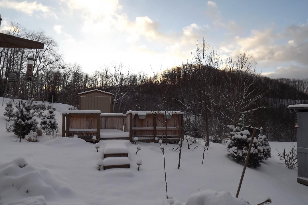 Jeff Young's album, Timeline Photos