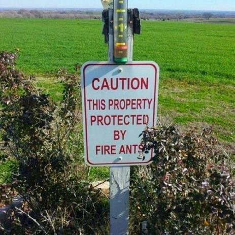 William Mosher's album, Timeline Photos