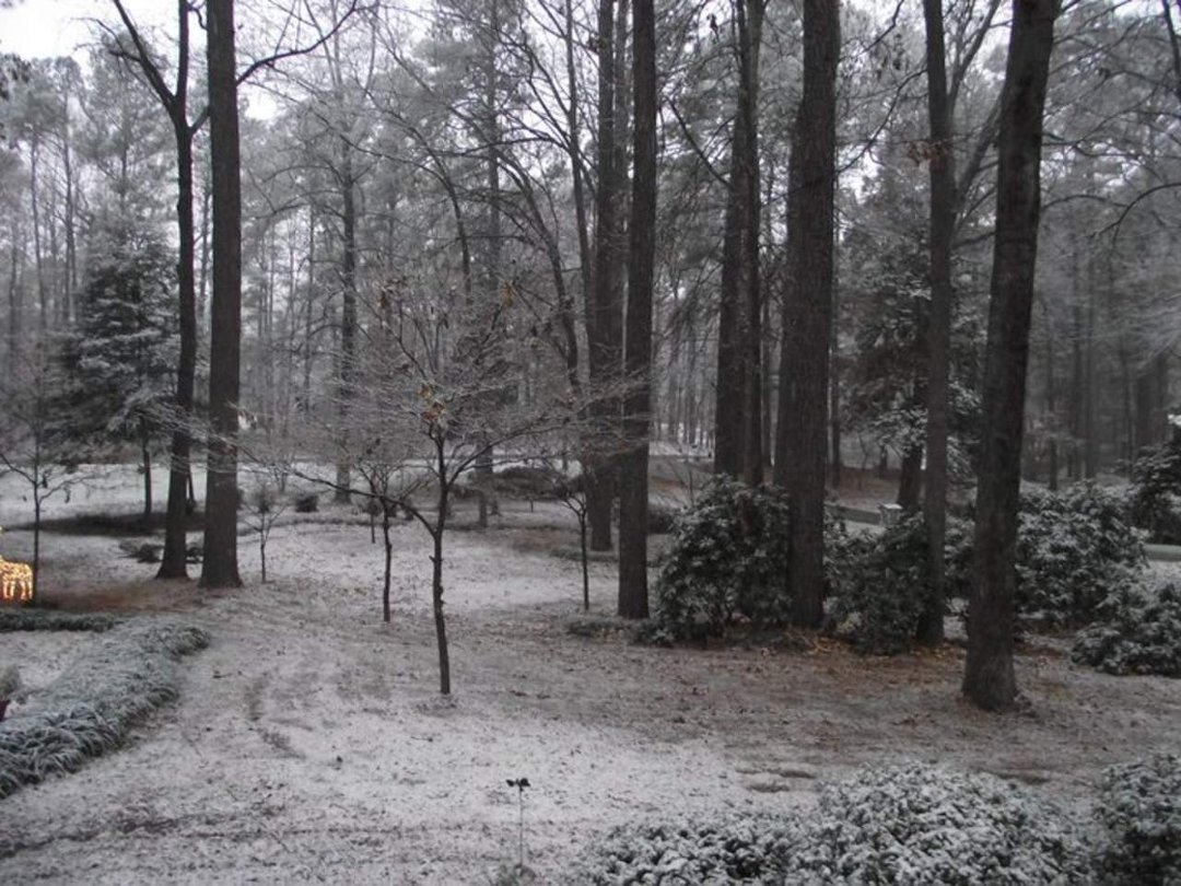 Alvin Doby's album, December 4, 2010