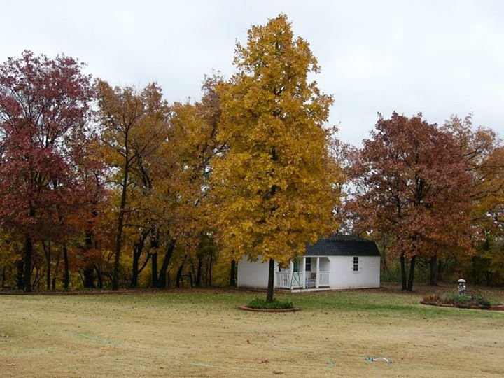 Terry Clark's album, Fall at the Clark house