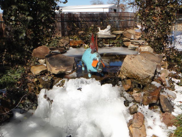 Vicki Alcorn's album, 2-6-2011