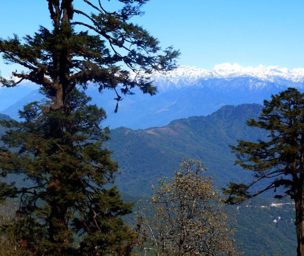 Ella Solomons' album, Bhutan