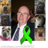 Bob Cameron's album, Profile Pictures