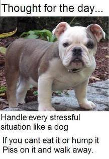Bart Regan's album, Timeline Photos