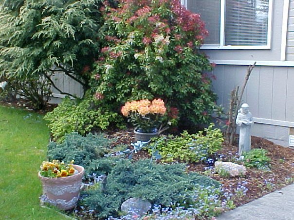 Barbara Kent's album, Yard Pictures