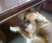 Michael Babbe's album, Mobile Uploads