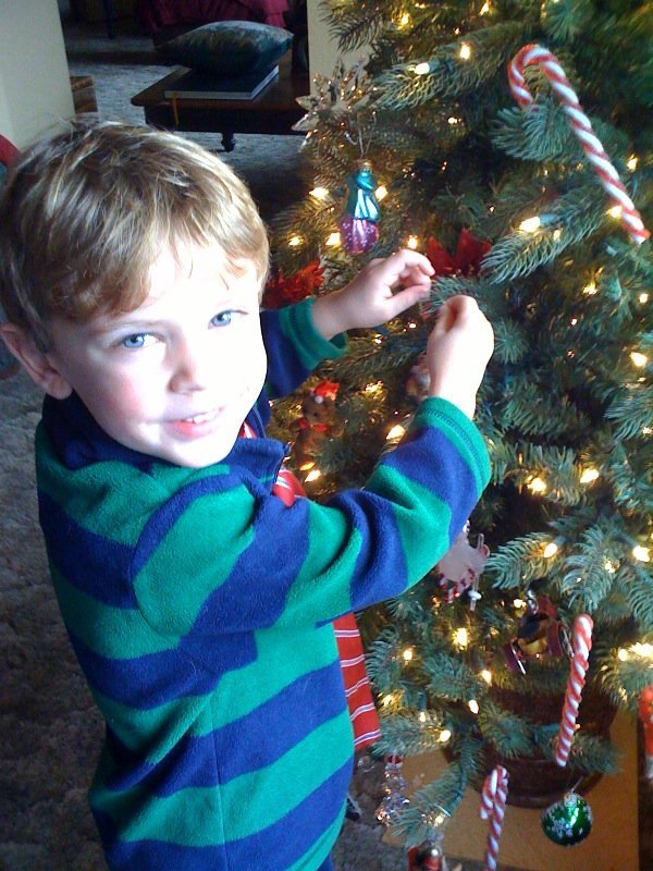 Susan Cole's album, Will, Master Tree Decorator! December 6, 2010