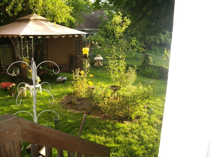 Joyce Baxter's album, Summer 2011