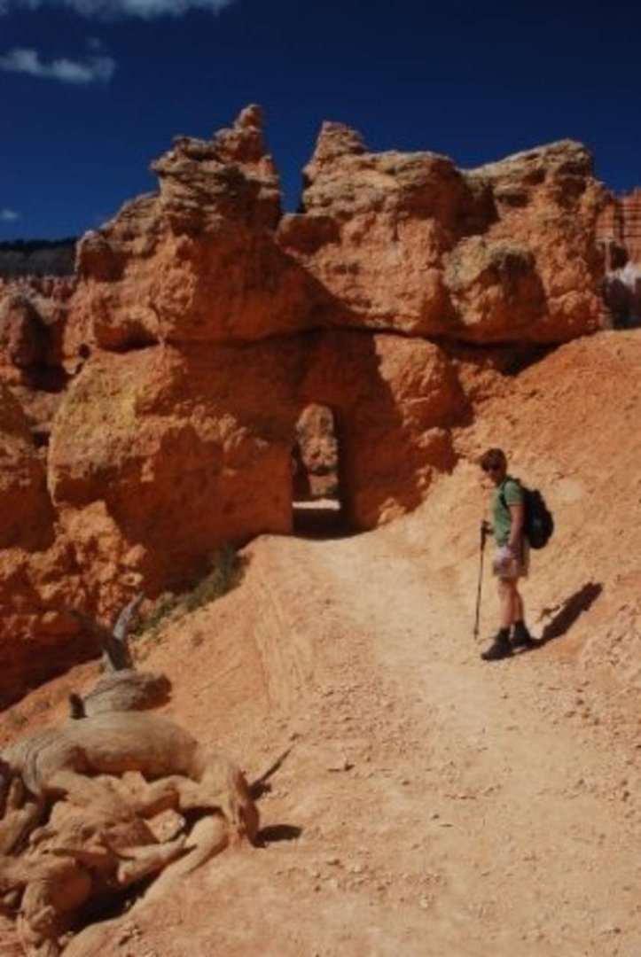 Michael Fingerle's album, West Trip 2010