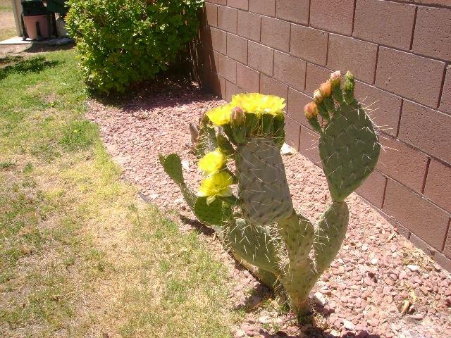 Beverly Lumm's album, Timeline Photos