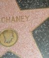 Vickie Chaney's album, Profile Pictures