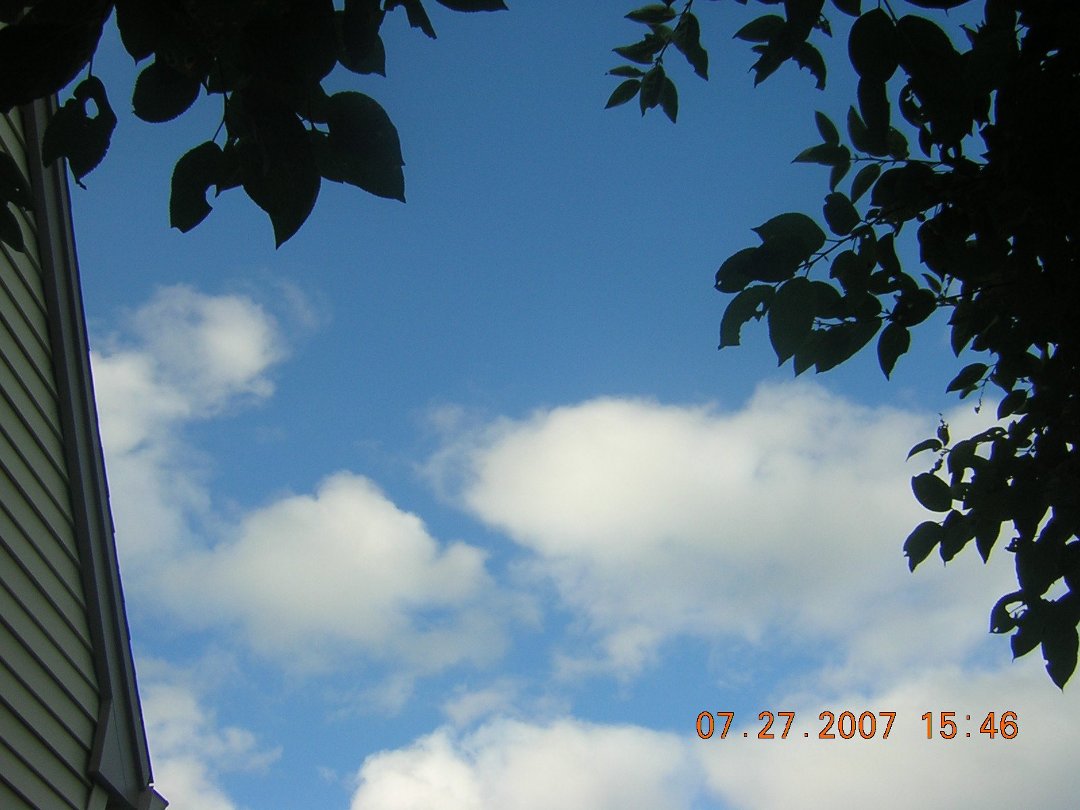 deb sherwood's album, Profile Pictures
