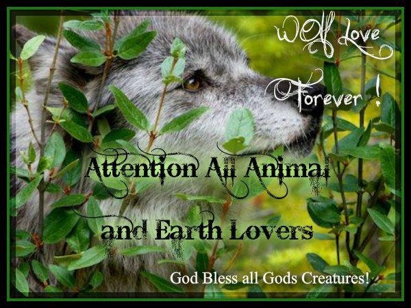 Maureen Smith's album, Cover Photos