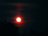 Bart Regan's album, Timeline Photos