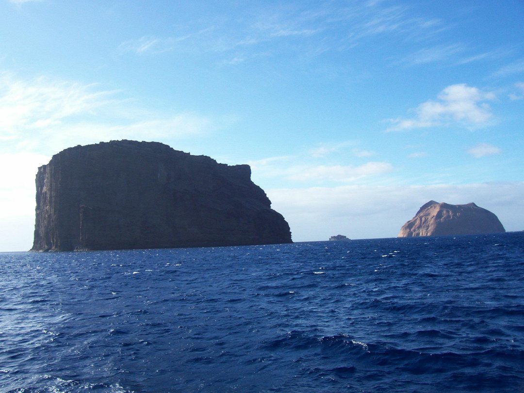 John Ayres' album, Isla Guadalupe
