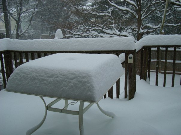 Donald Swan's album, Blizzard_12_2009