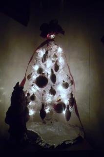 Suzanne Metcalf's album, December 12, 2011