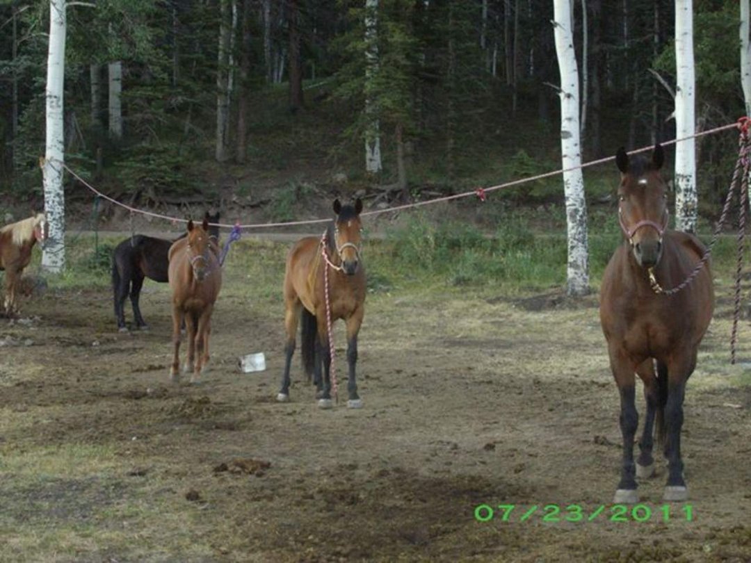 Barbara Hansen's album, F&F Camp Trip 2011