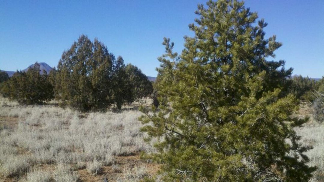 Larry Rider's album, Surveyin' some of the Old West! Does anyone know where this is?
