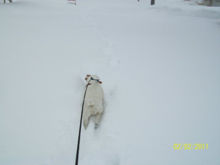 Michael McKellar's album, February 2, 2011