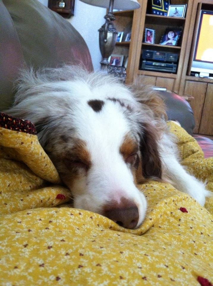 Debbie Hice's album, iOS Photos