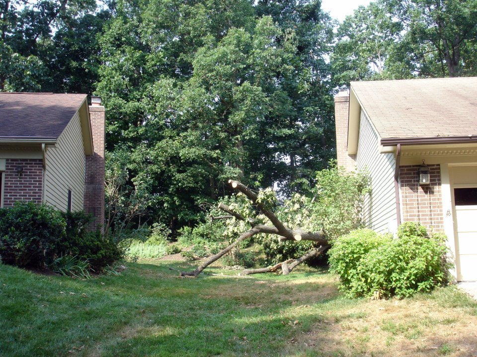 Robert Toense's album, Derecho storm of 6/29/2012