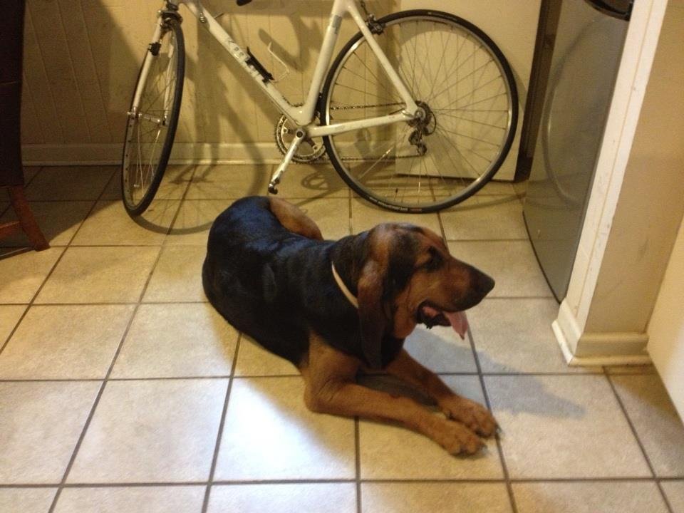 Keith Davis' album, iOS Photos