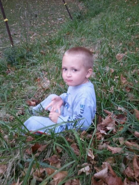 Susan Alby's album, Cover Photos