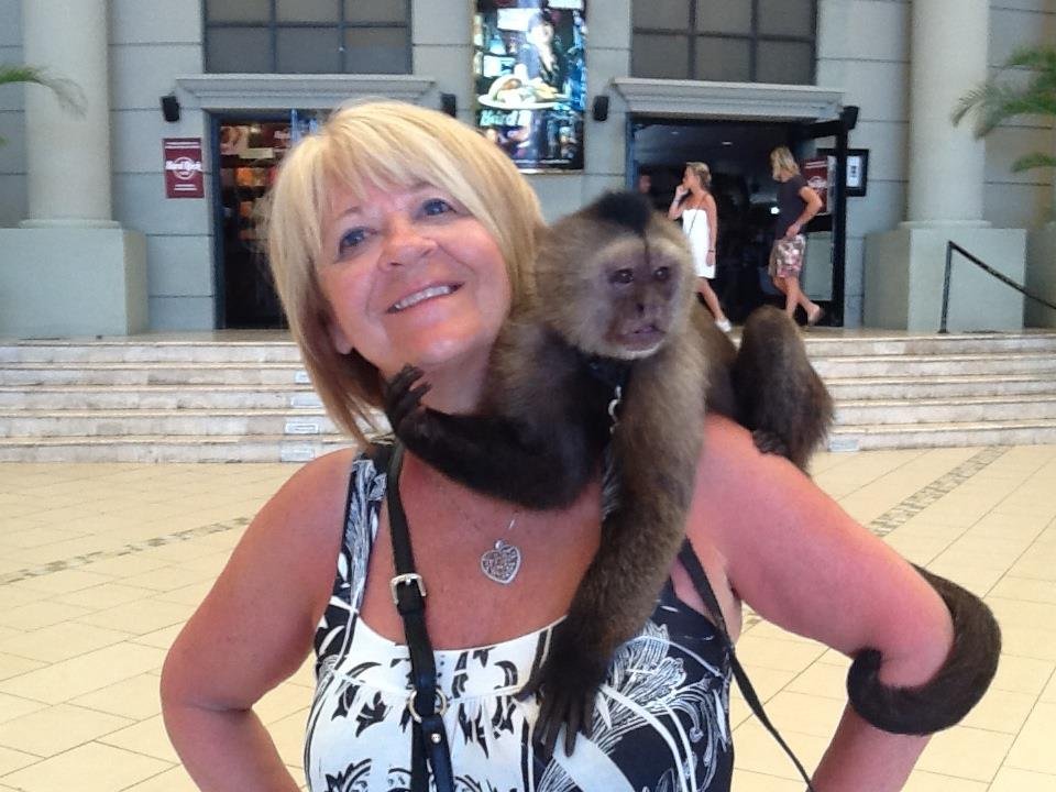 Sandra Dixon's album, Mobile Uploads