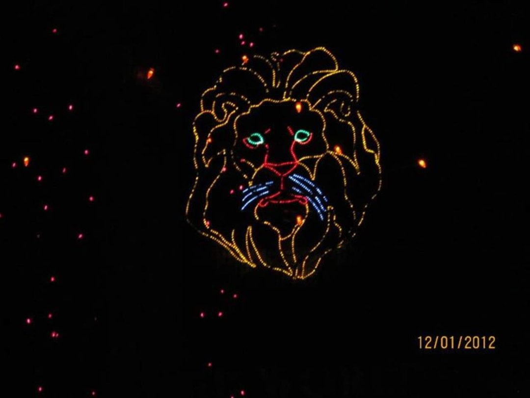 Arlo Murphy's album, Untitled Album