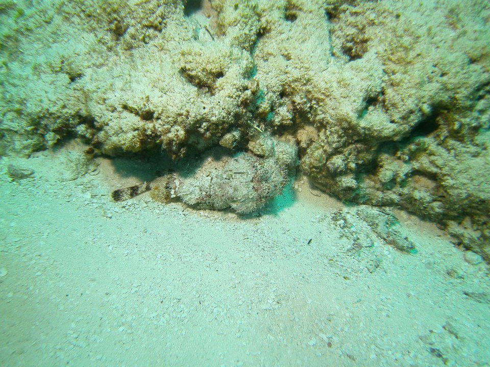 Monica Braley's album, Cozumel March 2012