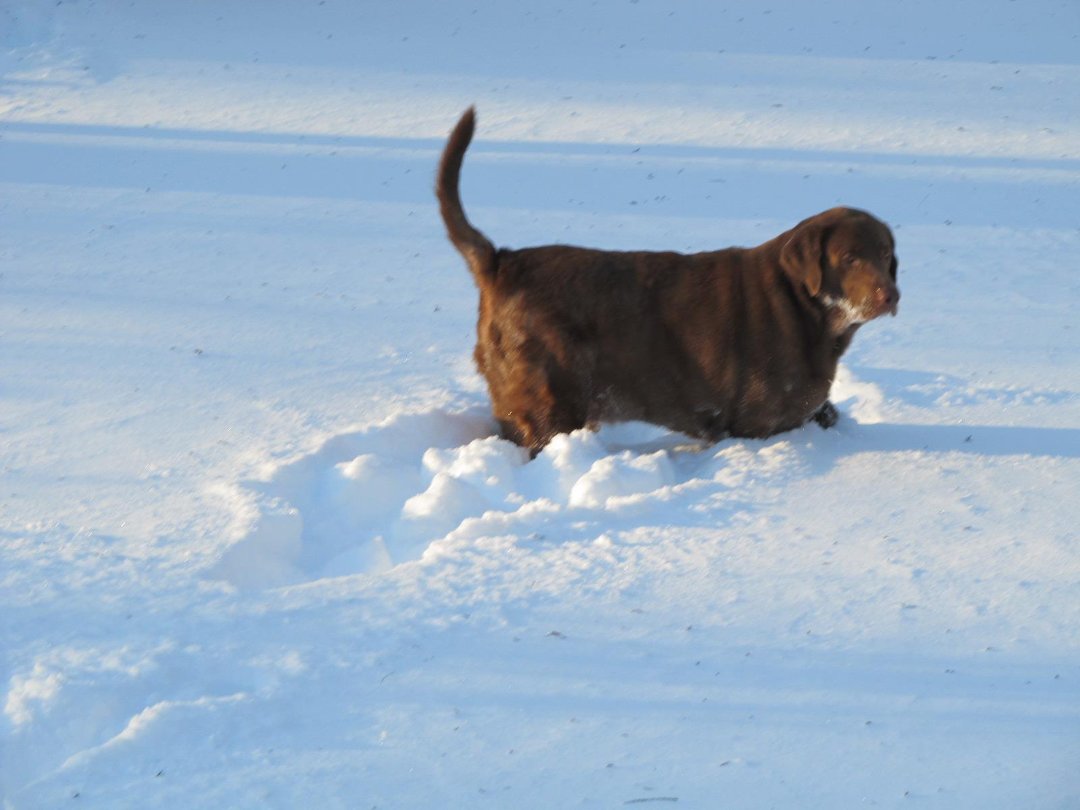 Rocky Chimeri's album, Cover Photos