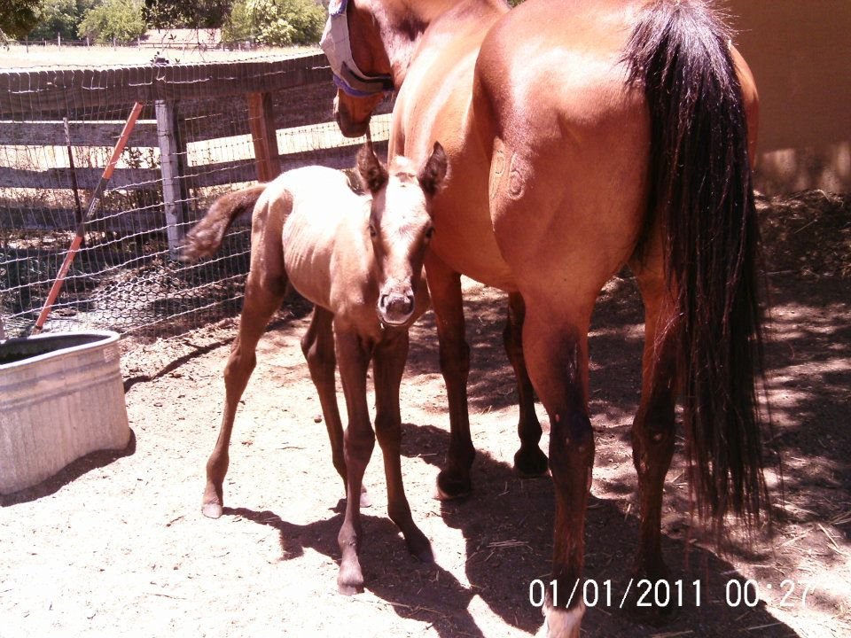 Lisa Phillips' album, Chloe & Milkshake @ 7 hours old
