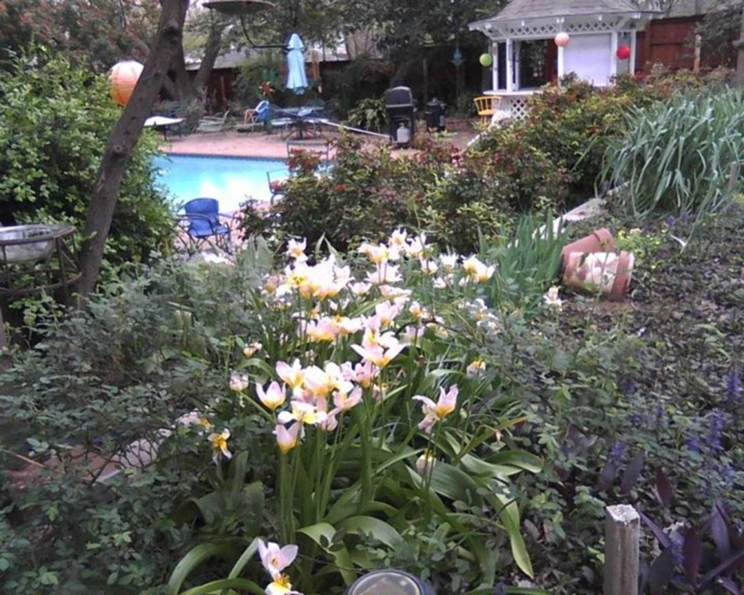 Sandra Campbell's album, Cover Photos
