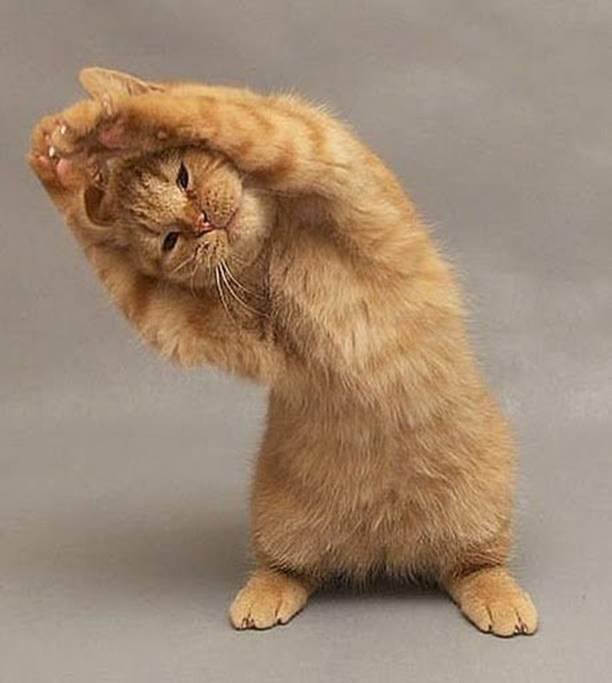 Debra Weatherby's album, Timeline Photos