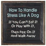 Steven Weaver's album, Timeline Photos