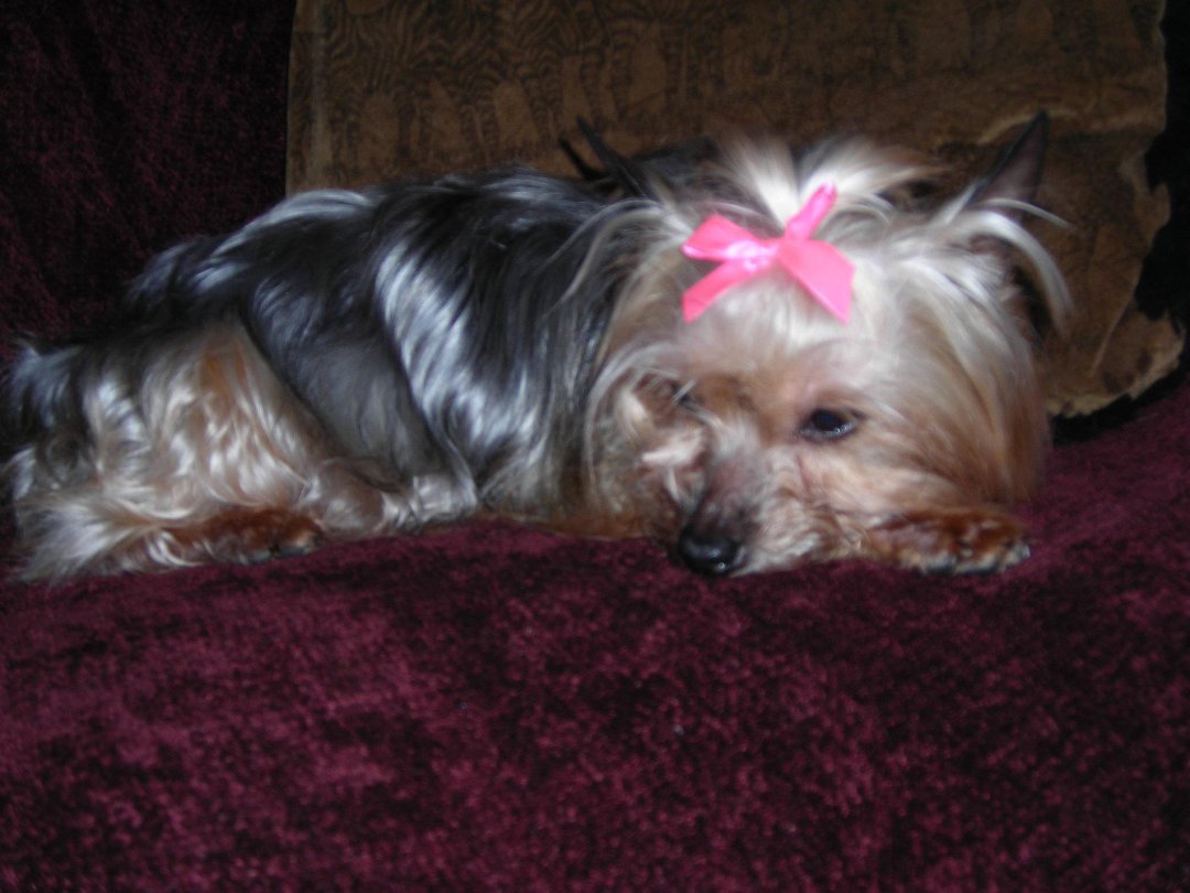 Connie Countryman's album, Sophie's 1st day home