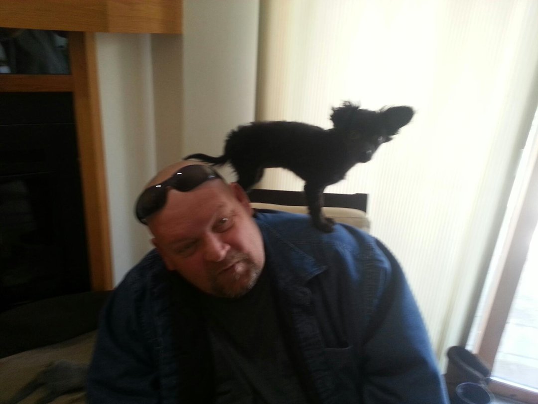 christopher brooks' album, Mobile Uploads