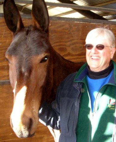 Jill Stepp's album, Profile Pictures