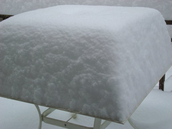 Donald Swan's album, Blizzard_12_2009