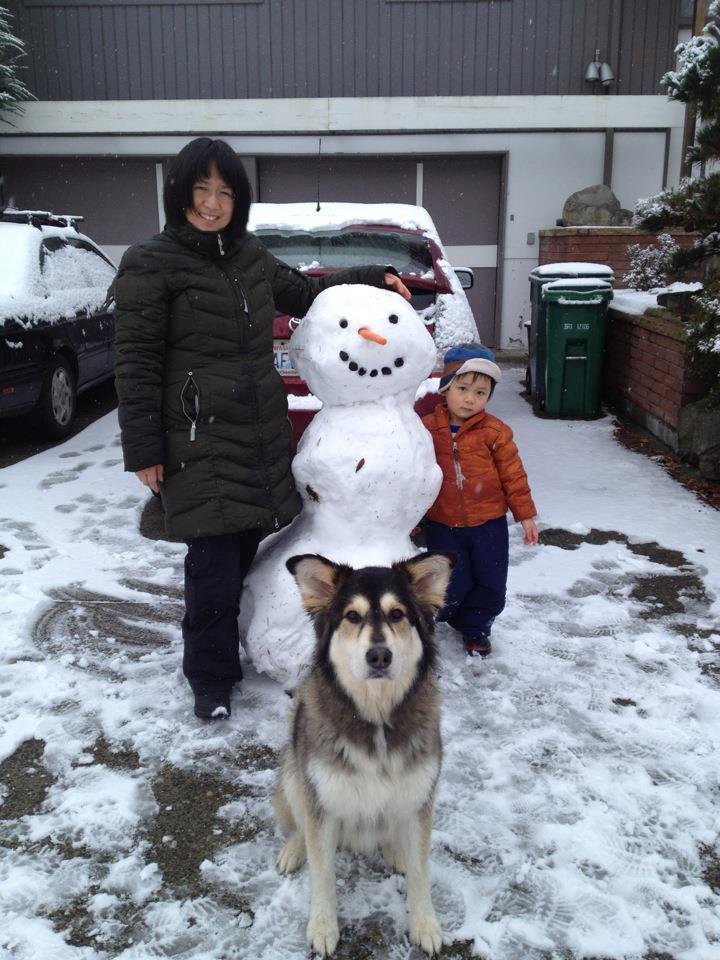 Roy Hwang's album, Mobile Uploads