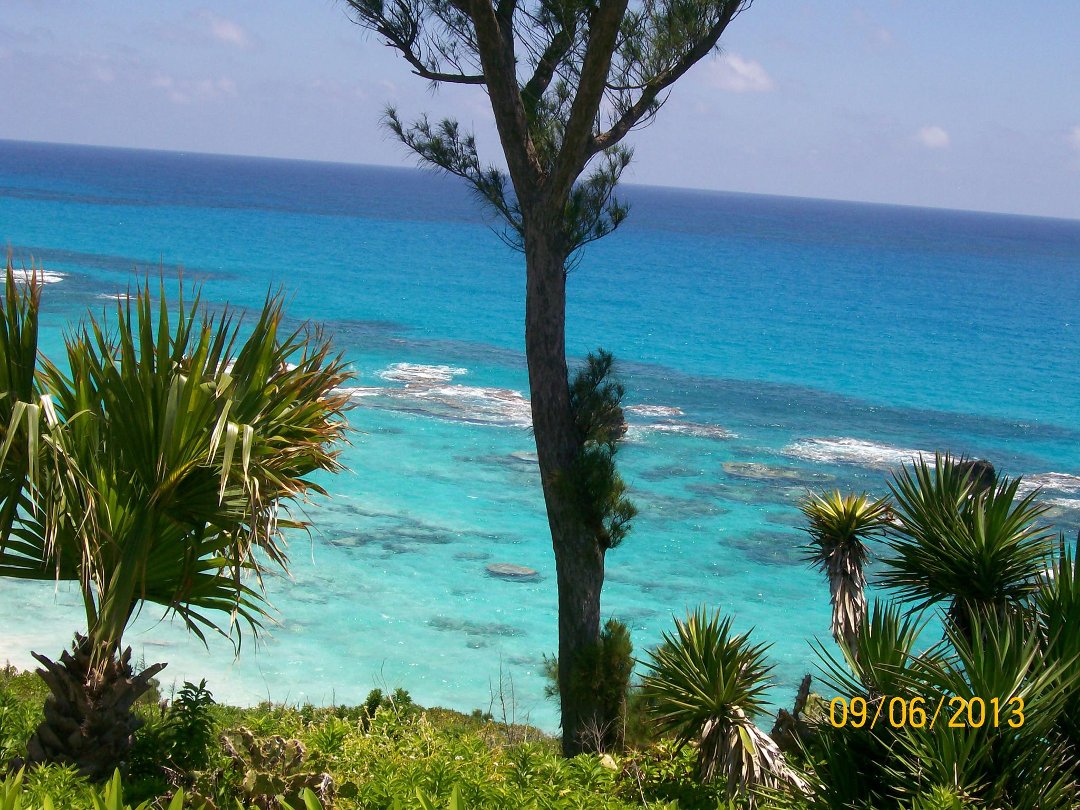 Jane Johnson's album, Cover Photos