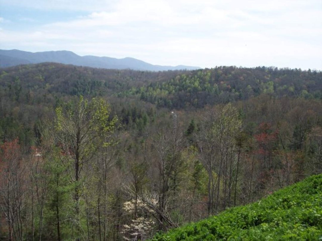 David Bullock's album, Tennessee Tourists