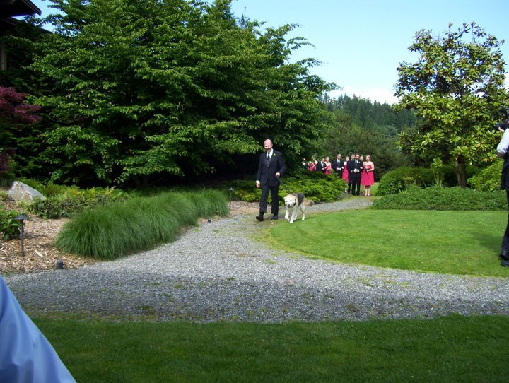 Meri Barton's album, Renee's wedding
