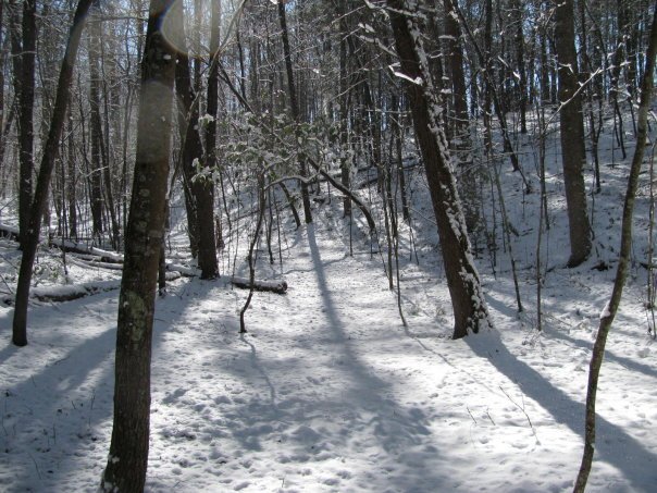 Tom Hellgeth's album, Snow time at Rogers Creek