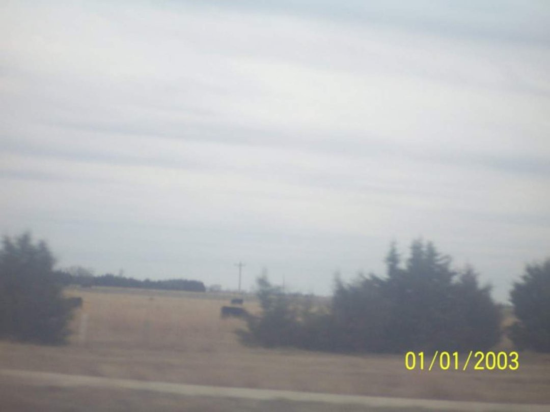 Douglas Heller's album, Spring Break 2010 - Day 1
