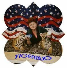 Nancy Mitchell's album, Profile Pictures