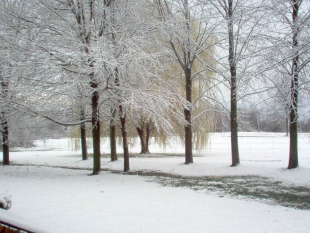 Sharon Sajdak's album, Winter at home