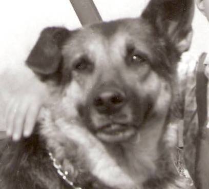 Chip Kiefer's album, Profile Pictures