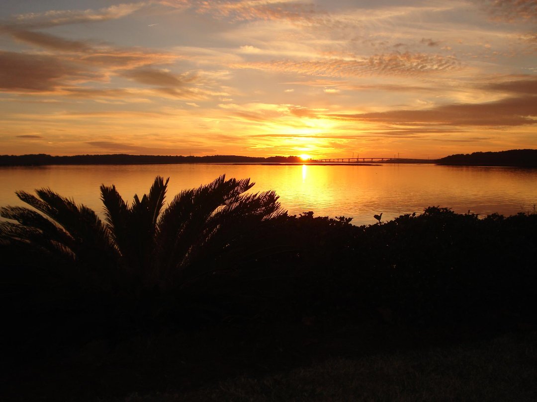 Sharon Barnes' album, Cover Photos